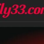 Fly33