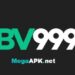 BV999 Com