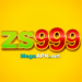 Zs999 Com