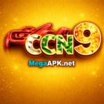 CCN9 Game