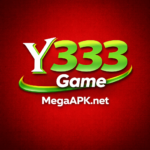 Y333 Game
