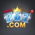 P67 Com