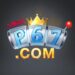 P67 Com